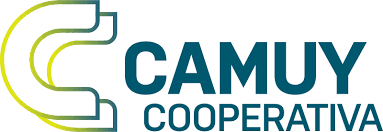 Camuy